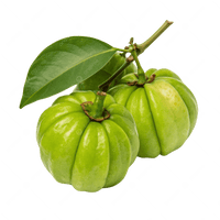 Garcinia Cambogia